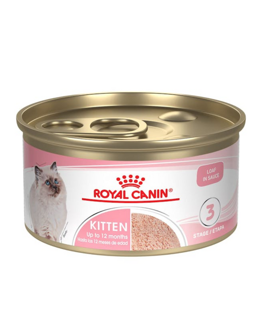 Royal Canin Kitten (Húmedo) 145g