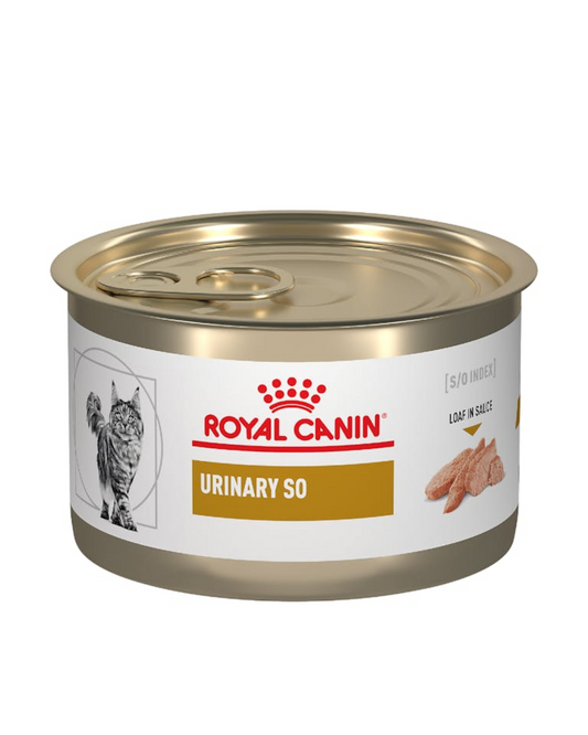 Royal Canin Urinary SO Feline (Húmedo) 145g