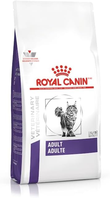 Royal Gato Adulto 10kg